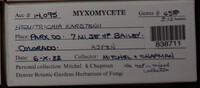 Image Associated With the Occurence